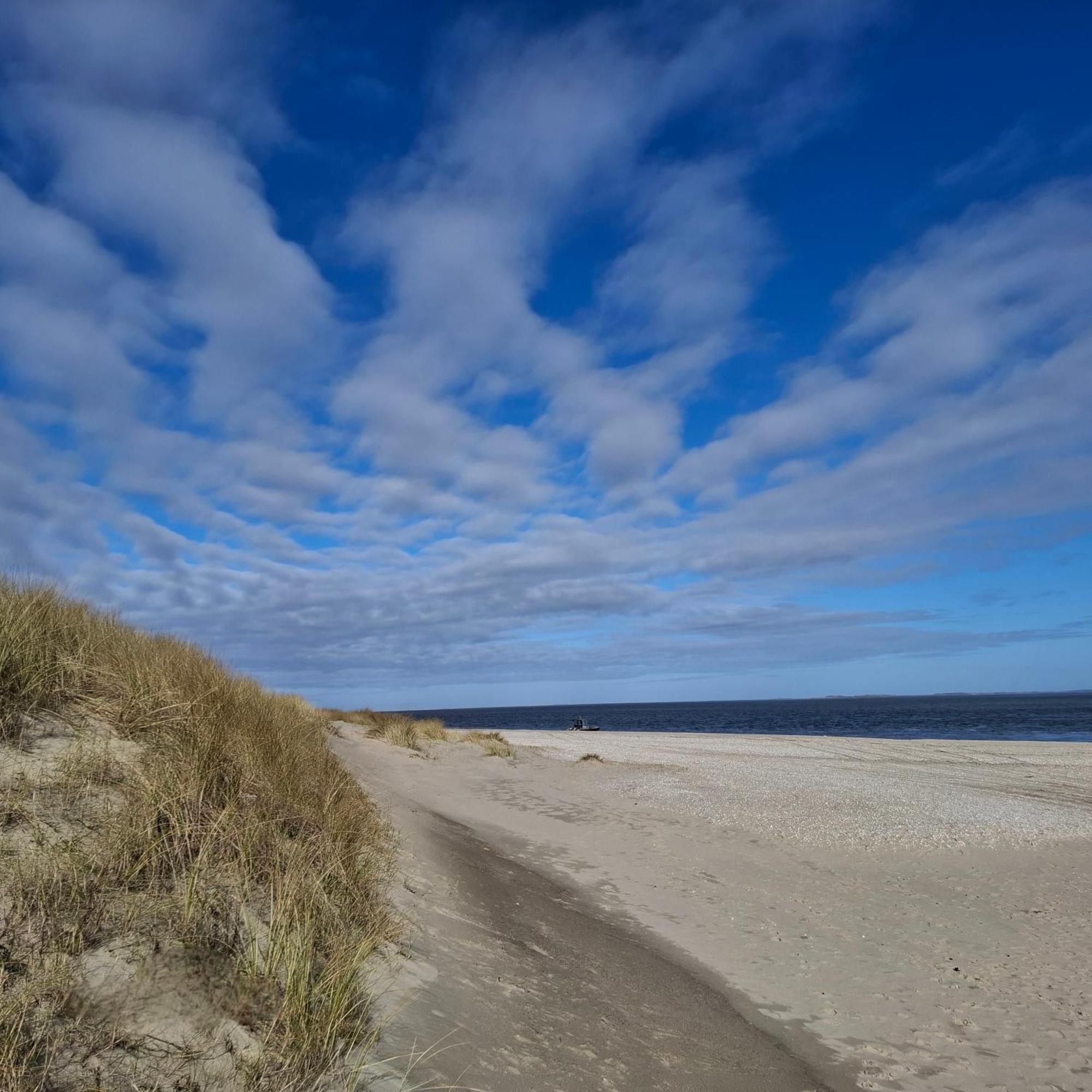 Private Logies Texel Woodart Midden-Eierland Екстериор снимка
